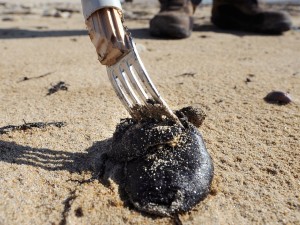 "Tar balls" have been reported along the shores of several popular South Bay beaches.