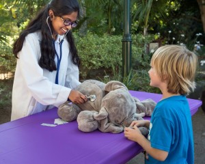 Kids can bring their stuffed elephants for a "checkup" during World Elephant Day activities.
