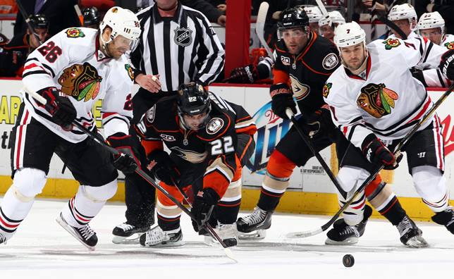 ducks1_16