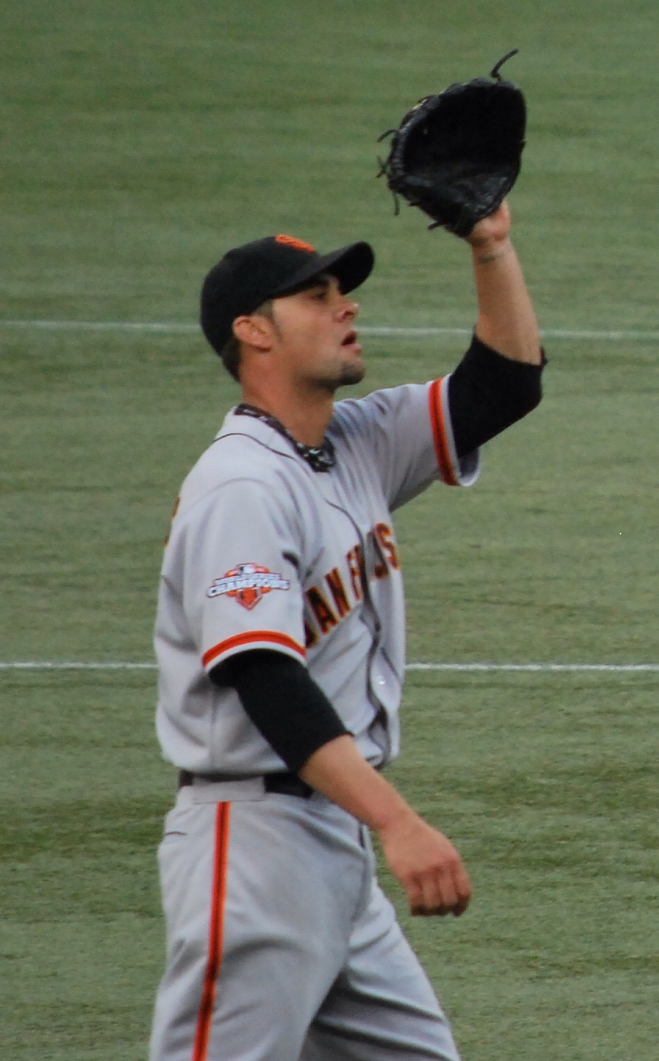 Vogelsong
