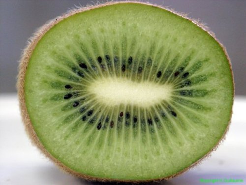 The Kiwi, Sweet, Yet Not Too Sweet