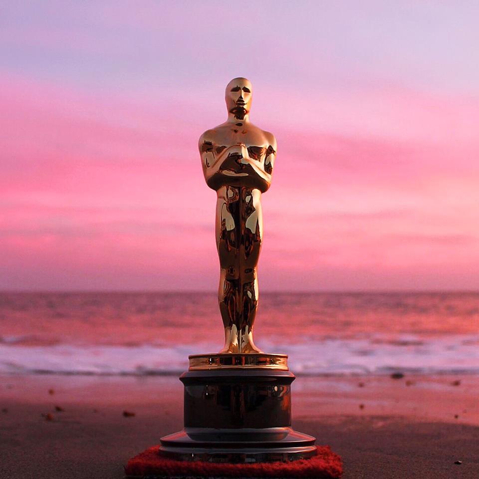 “Birdman,” “Budapest Hotel” Oscar Winners