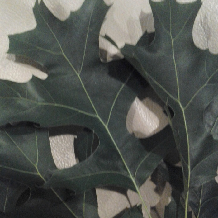 Streets Are Cooler With Shade