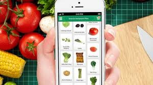 Users can shop for groceries from their phone and have them delivered the same day.