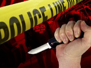 stock_crime