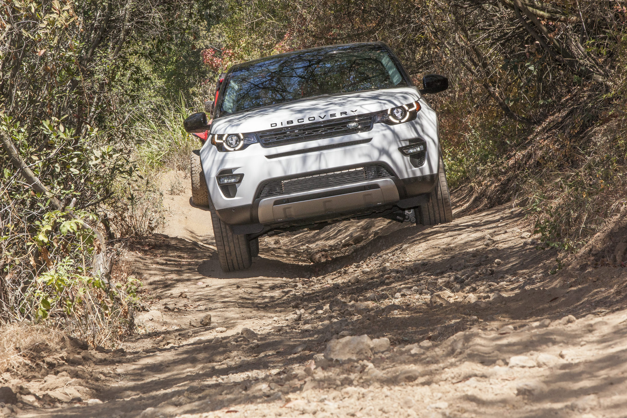 Discovery Sport: An American Safari By Land Rover Discovery Sport