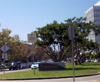 Two 2012 Brentwood Burglaries Thus Far