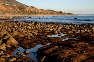 missing_15_year_old_hiker_found_safe_california_blog_resized_1