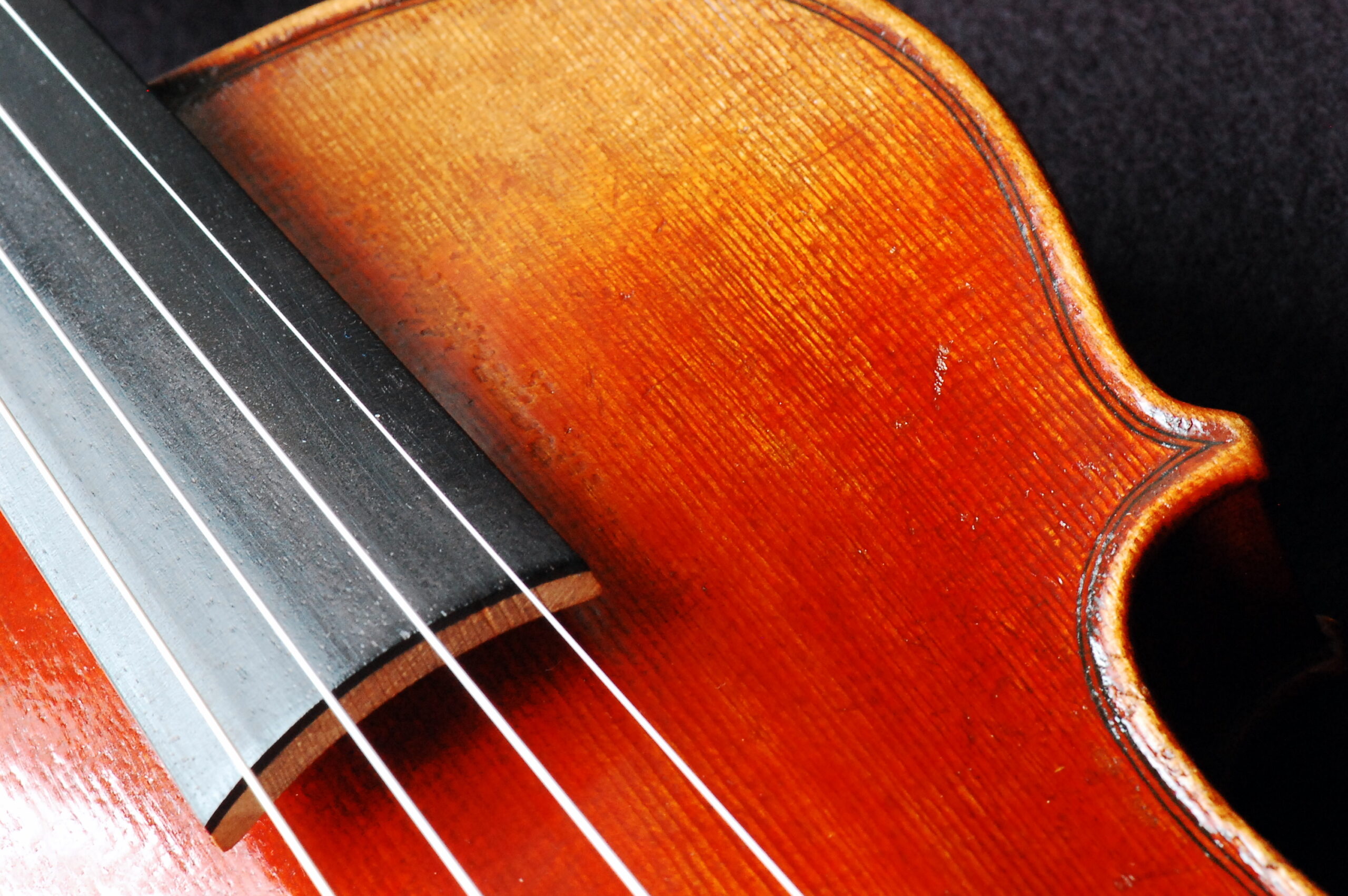 Alleged Child Molester Shoots Himself At Home