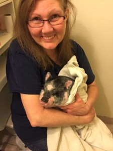 DeSantos with a rescued pig. 
