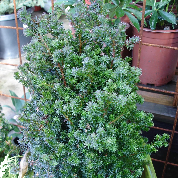 Fireplaces Are A Rare Luxury