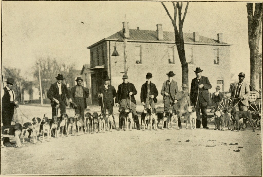 Hunting Dogs, Wikimedia Commons