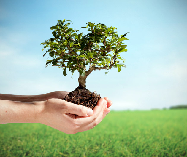 City Celebrating National Arbor Day Event
