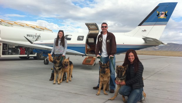 Wings Of Rescue Saves Animals