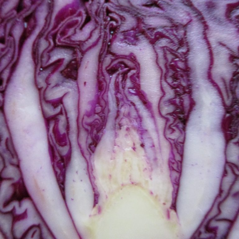 Vegetables Come And Vegetables Go
