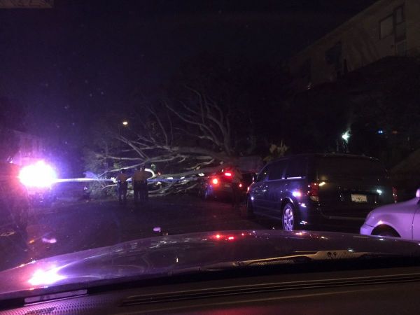 Heavy Winds Cause Damage In West Hollywood