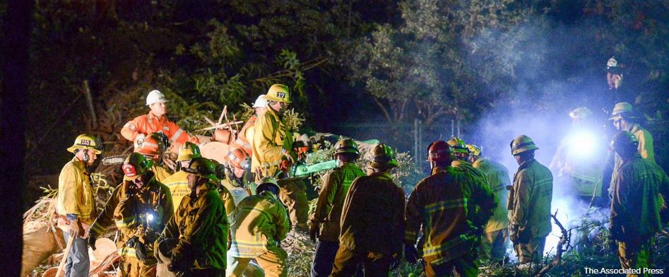 Mother Of Bride Killed After Tree Falls