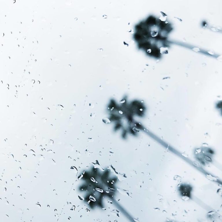 Winter Rain Keeps On Coming