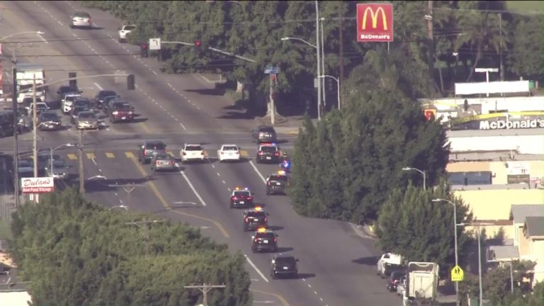 Carjacking Suspect Surrenders After Chase Through Los Angeles