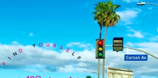 Man Shot And Killed On Melrose Avenue
