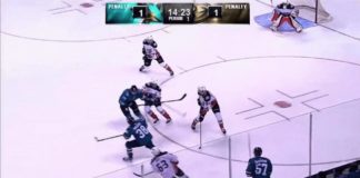 Sandberg Shows Potential, Scores Goal In SJ Vs. Anaheim Game