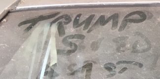 Vandalism On Chayote Street