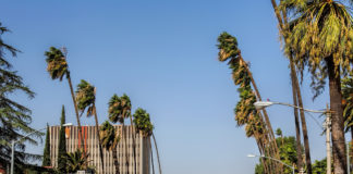 Heavy Winds Approaching Area