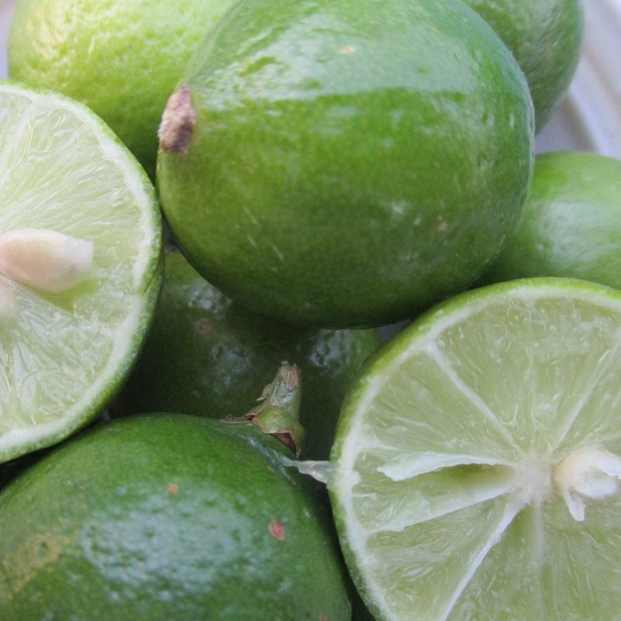 frost sensitive Mexican lime
