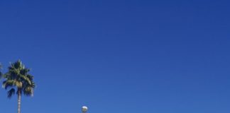 Opportunities For Giving Available In Beverly Hills