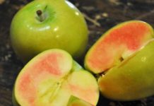 Fruits, Fruits And More Fruits!