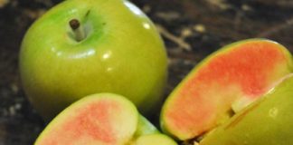 Fruits, Fruits And More Fruits!