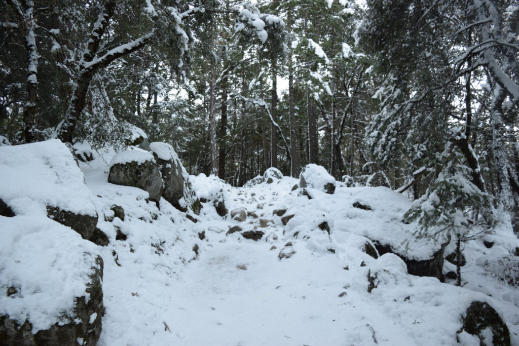 Snow