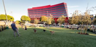 North End Of West Hollywood Park Temporary Closed