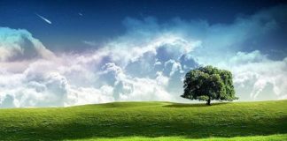 Earth Day Celebration