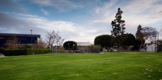 Arbor Day Tree Planting