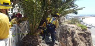Santa Monica Bluffs Rescue