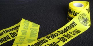 Hollywood Blvd. Stabber Wanted