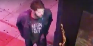 Purse Snatching Bandit Wanted