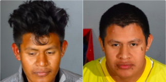Help Needed To Solve Homicide