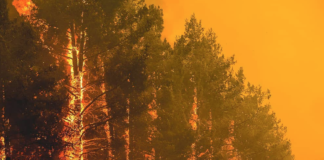 Carr Fire Claims Five Lives