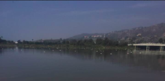 Fish Found Dead In Malibu Lagoon