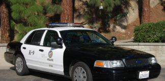 Police Pursue Driver On Multiple Freeways