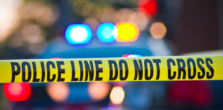 Man Decapitated In Suicide