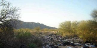 Tijuana Mayor Declares Humanitarian Crisis