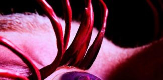 “American Horror Story: Apocalypse” Delivers