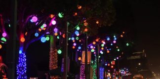 BOLD Holidays Return To BH