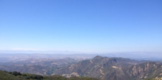 Brush Fire Burns Two Acres Of Topanga Canyon