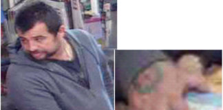 Search For Car Burglar And Identity Thief