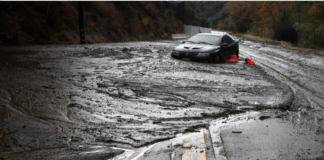 Driver Escapes Topanga Mudslide