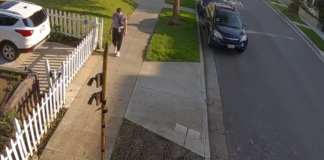 Daytime Robbery Caught On Tape In Melrose